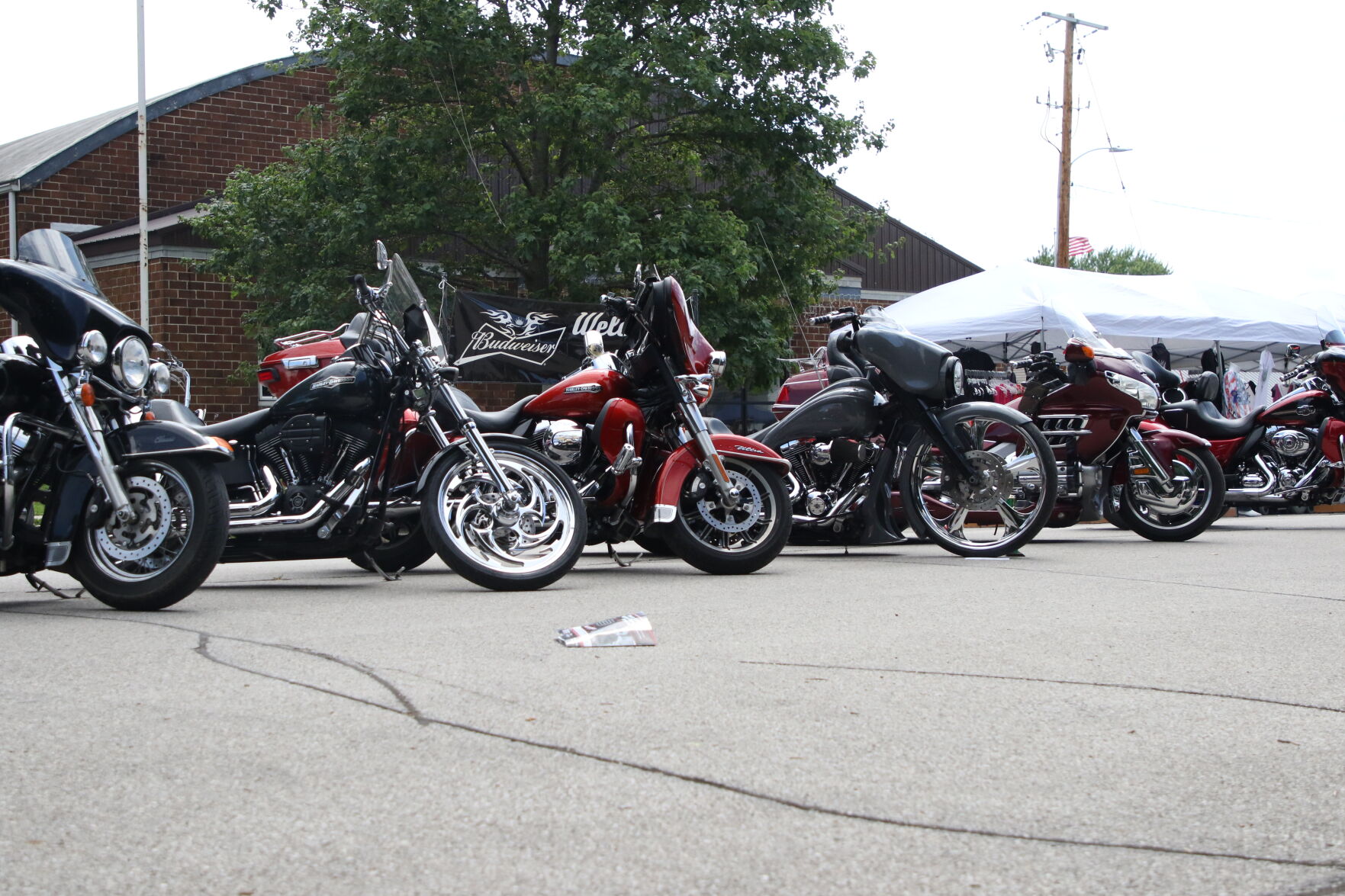 Pine Lake Fest_7143.JPG
